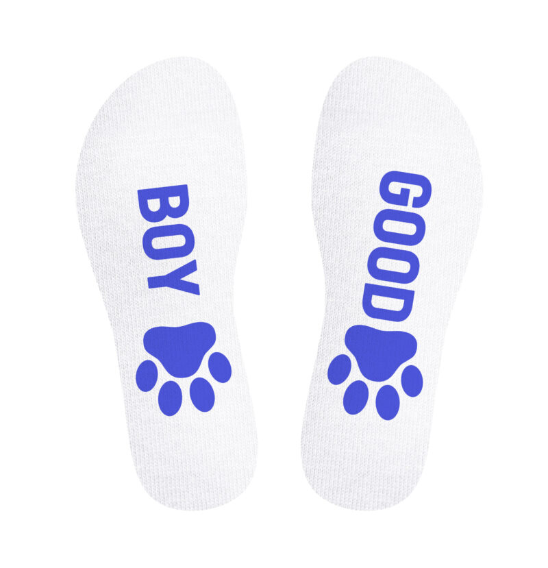 140168 SneakXX Sneaker Socks GOOD BOY Blue 02 scaled