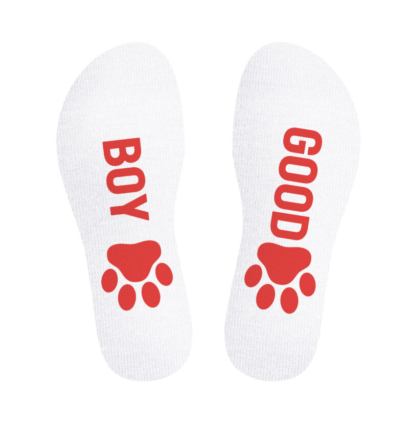 140169 SneakXX Sneaker Socks GOOD BOY Red 02 scaled