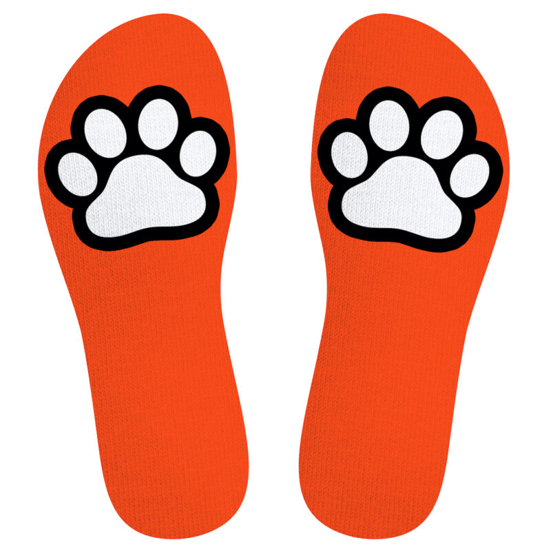 140447 SneakXX Sneaker Socks PAW Neon Orange 02