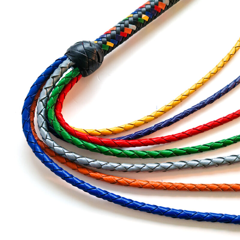 Gay Pride Leather Flogger - Afbeelding 2