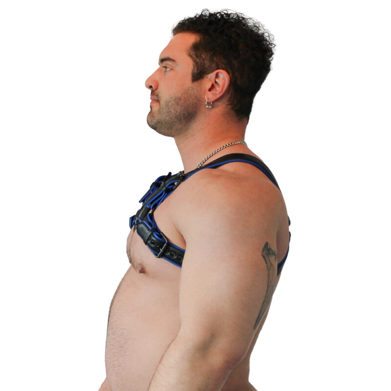 BRUTUS Vegan Bulldog Harness Black-Blue - Afbeelding 2