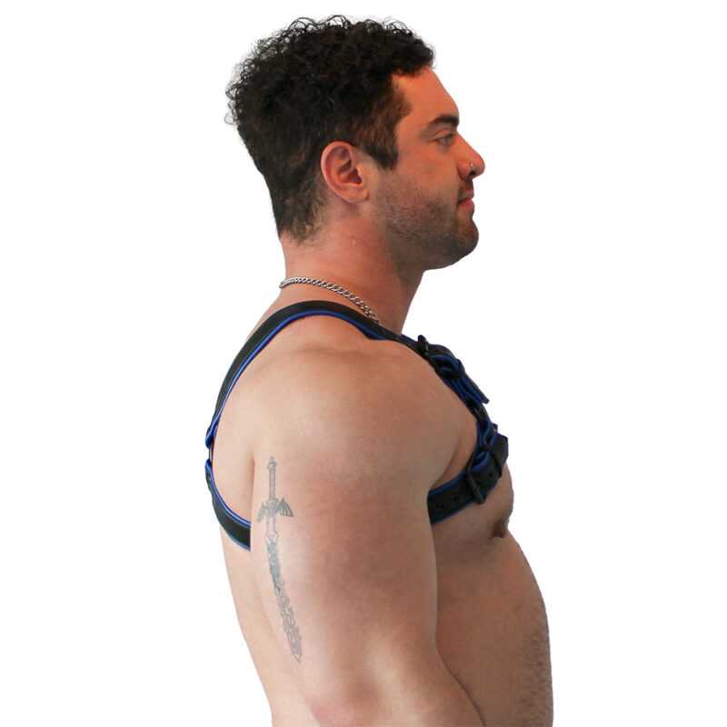 BRUTUS Vegan Bulldog Harness Black-Blue - Afbeelding 4