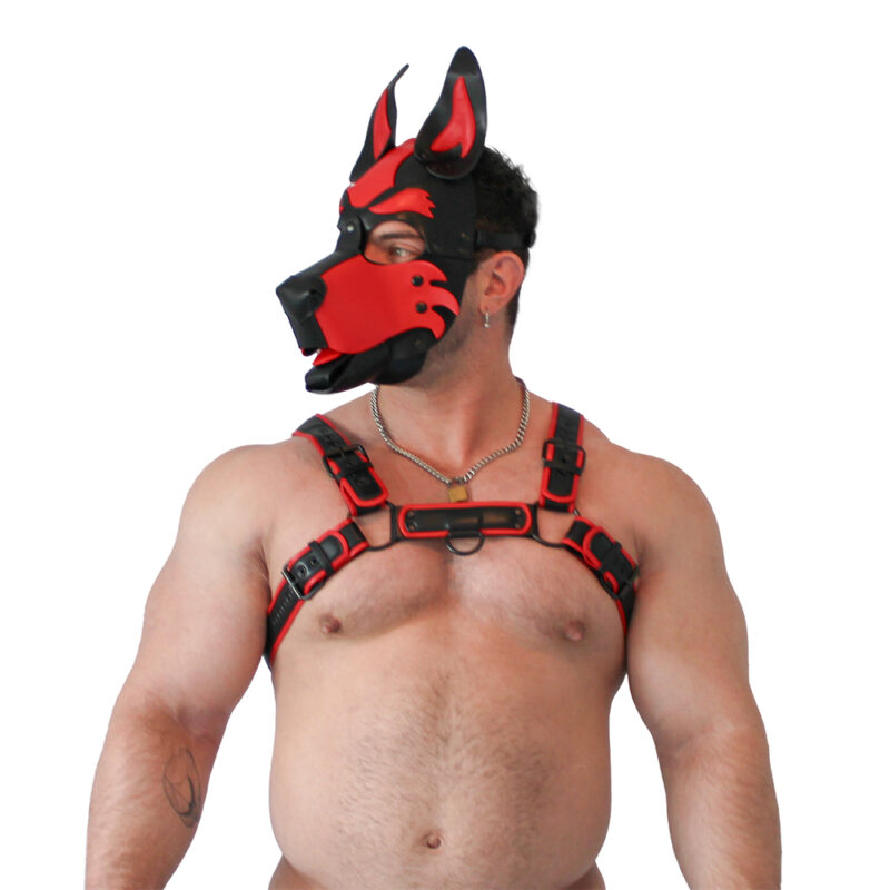 BRUTUS Vegan Puppy Harness Black-Red - Afbeelding 2