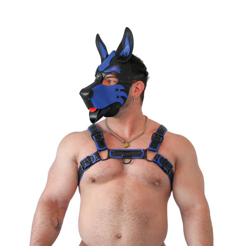 BRUTUS Vegan Puppy Harness Black-Blue - Afbeelding 6