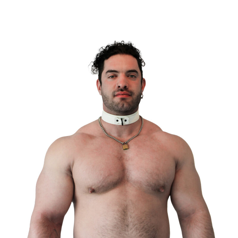 vegan collar
