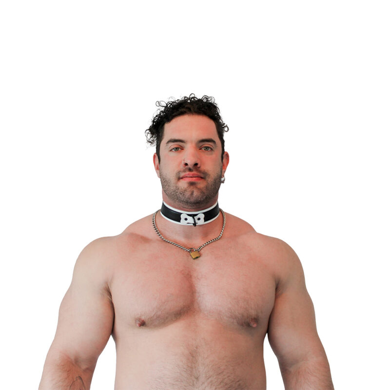 vegan collar