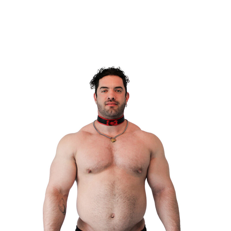 vegan collar