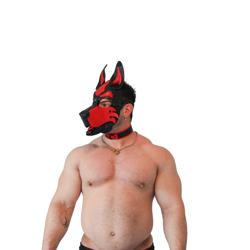 BRUTUS Vegan Puppy Collar Black-Red - Afbeelding 6