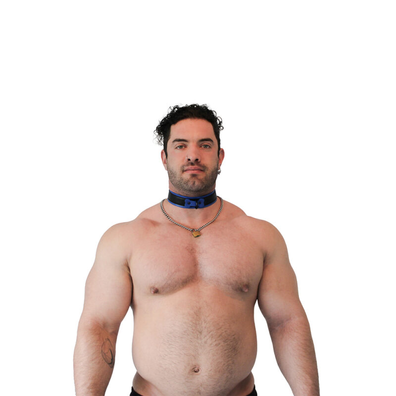 vegan collar