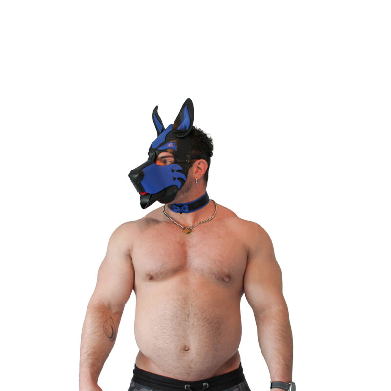 BRUTUS Vegan Puppy Collar Black-Blue - Afbeelding 5