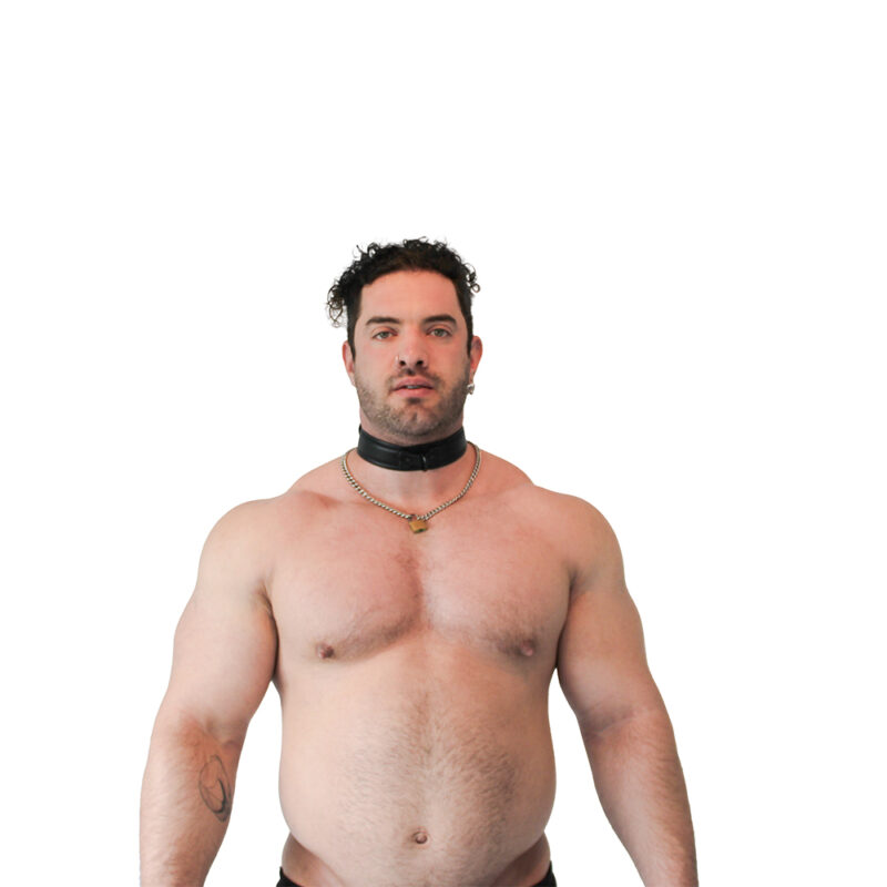 vegan collar