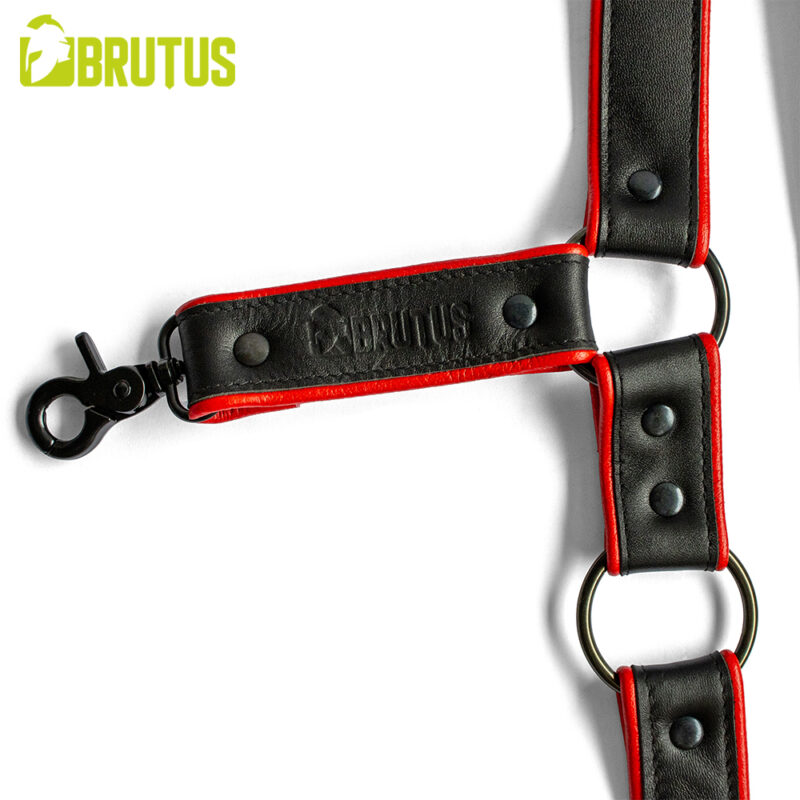 BRUTUS Leather Leg Harness Black-Red - Afbeelding 4