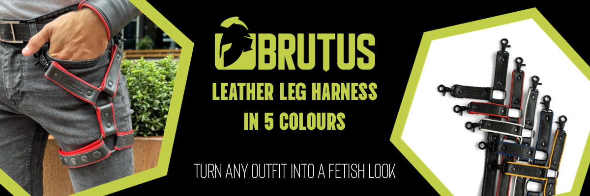 LEATHER LEG HARNESS